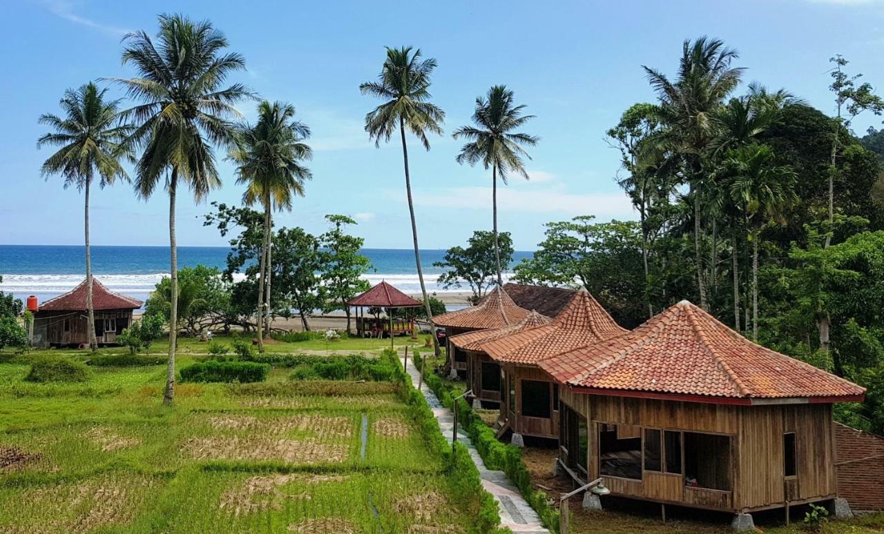 Revive Lampung Krui King Resort Exteriör bild