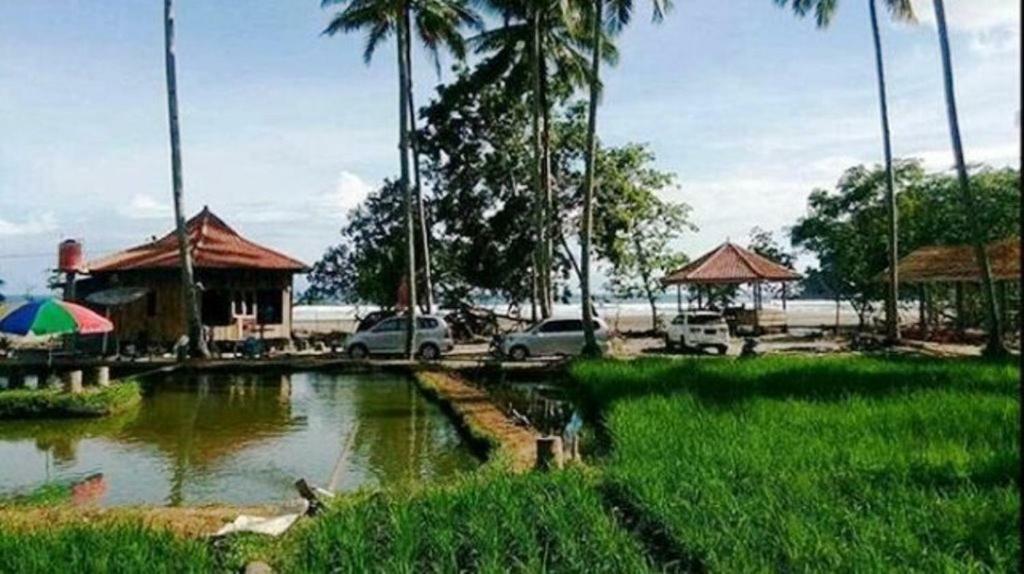 Revive Lampung Krui King Resort Exteriör bild